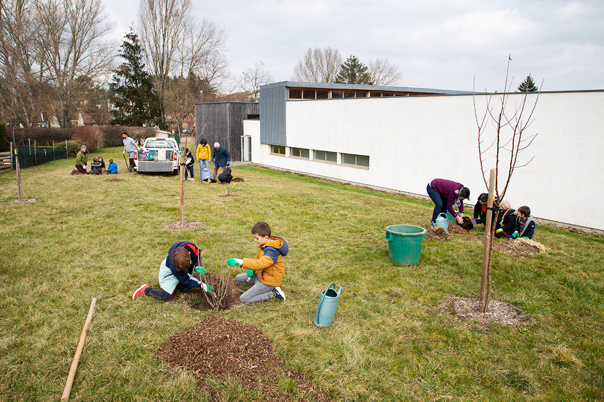 Atelier plantation d'arbres pour les scolaires de Cluny.