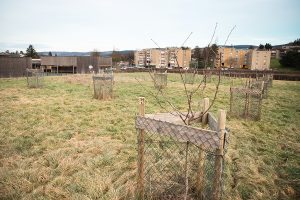 La municipalité a récemment signé une Obligation Réelle Environnementale pour protéger durablement une parcelle communale.